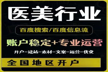 SEM搜索引擎优化：成功案例解析